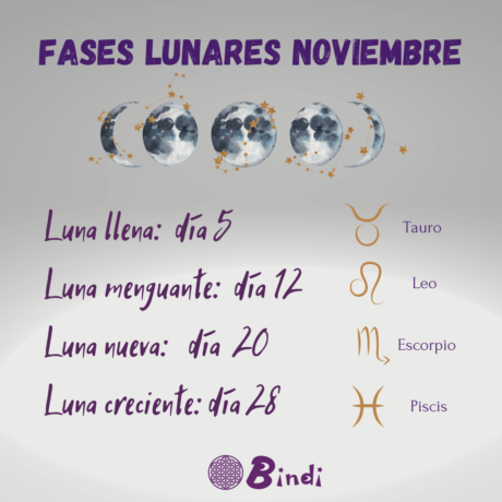 Calendario lunar noviembre 2025