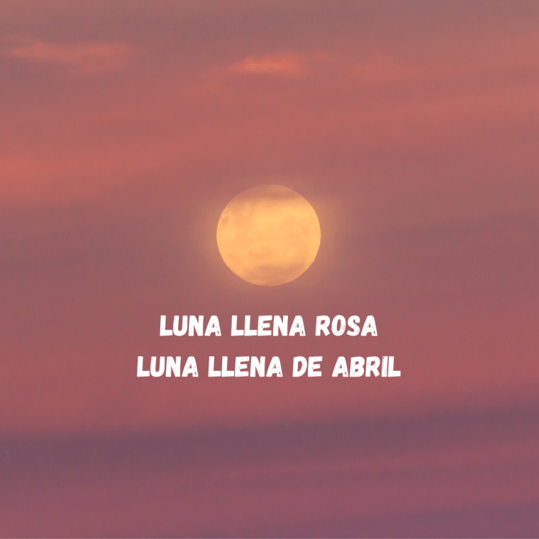 luna llena rosa