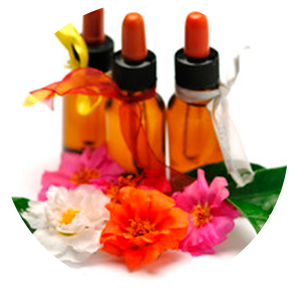 TERAPIA FLORAL + GEMOTERAPIA