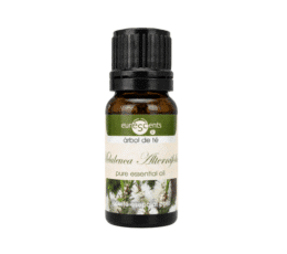 Aceite esencial árbol de té