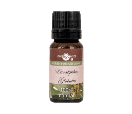 aceite-esencial-eucalipto