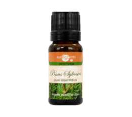 aceite esencial pino