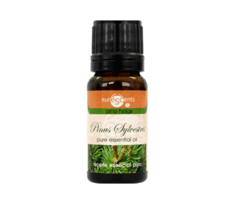 aceite-esencial-pino-hojas