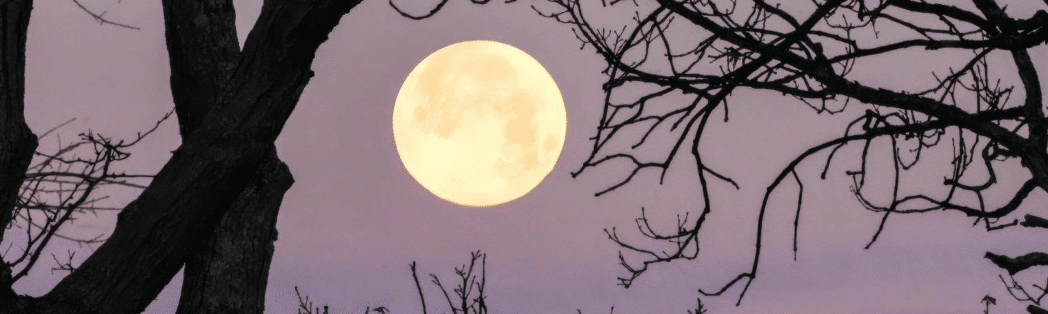 Banner fases lunares