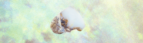 Banner ópalo blanco