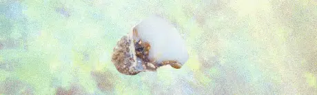 Banner ópalo blanco