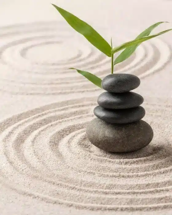 Productos de Feng Shui para armonizar el hogar