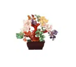 Bonsai chakras