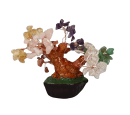 bonsai chakras 12 cm