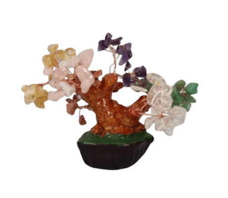 bonsai-chakras