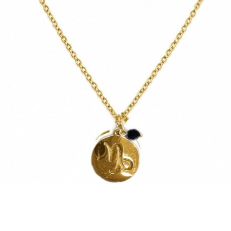 colgante horoscopo capricornio acero dorado ficha