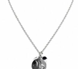 Colgante del horóscopo Capricornio en acero inoxidable plateado con glifo calado y bola de obsidiana
