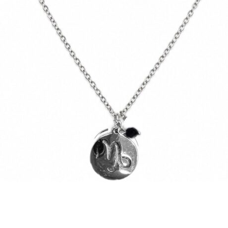 colgante horoscopo capricornio acero inoxidable ficha