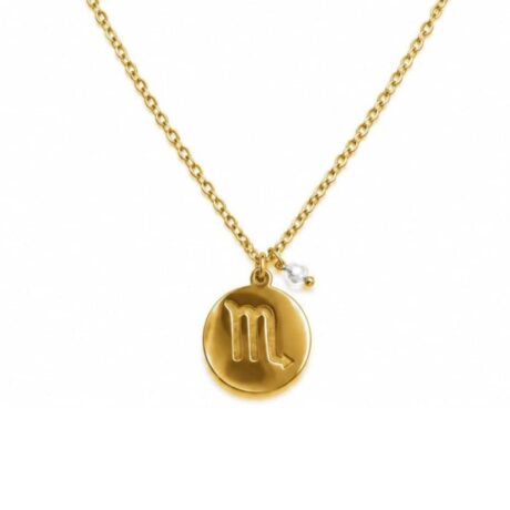 colgante-horoscopo-escorpio-acero-dorado-ficha