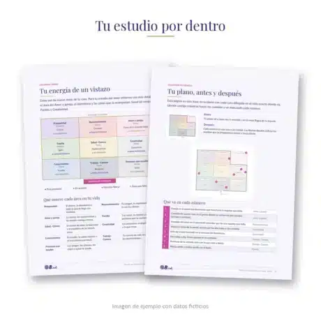 estudio-feng-shui-amor-por-dentro-bindi-v2