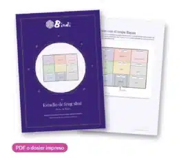 Estudio de feng shui para tu hogar de Bindi: dosier con el plano y el mapa Bagua