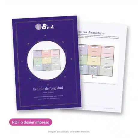 Estudio de feng shui para tu hogar de Bindi