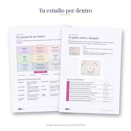 estudio-feng-shui-hogar-por-dentro-bindi-v2