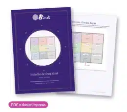 Estudio de feng shui para negocios de Bindi: dosier con el plano del local y el mapa Bagua