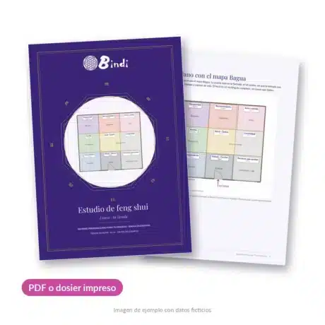 Estudio de feng shui para negocios de Bindi