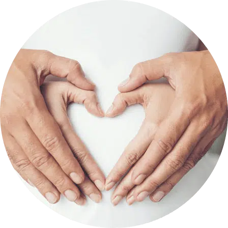 Fertilidad y familia