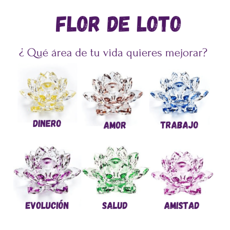 flor de loto colores