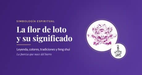 La flor de loto y su significado: leyenda, colores, tradiciones y feng shui