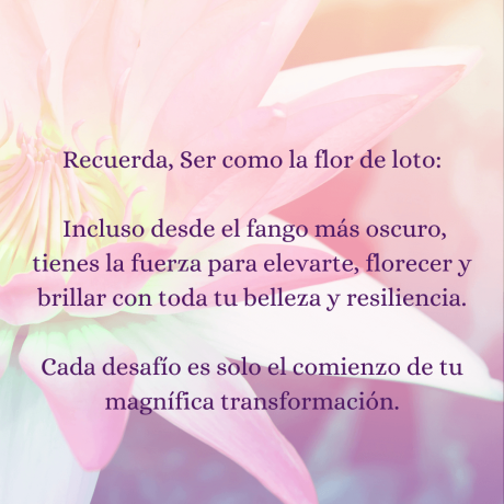 frases flor de loto