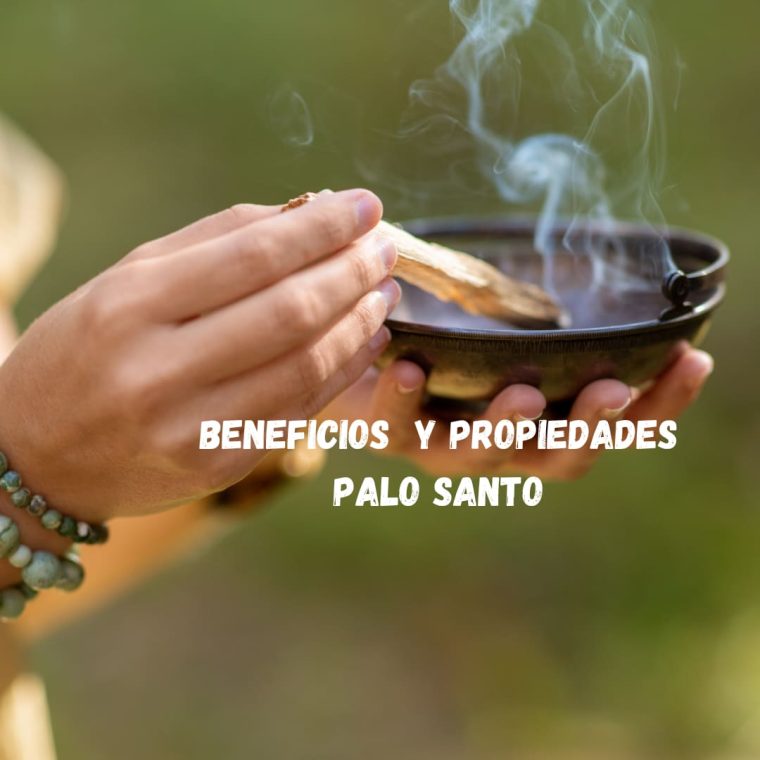 Beneficios palo santo