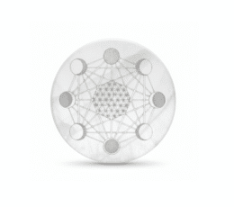 Placa de carga selenita fases lunares