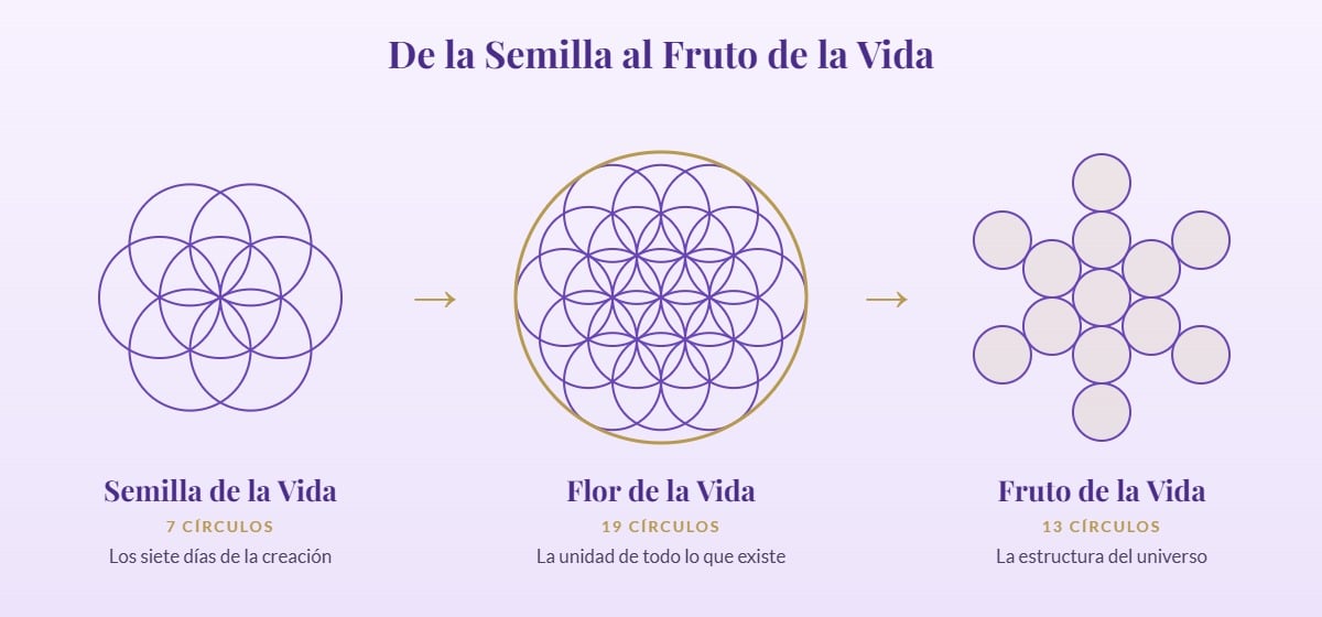 Esquema de geometría sagrada: Semilla de la Vida de 7 círculos, Flor de la Vida de 19 círculos y Fruto de la Vida de 13 círculos