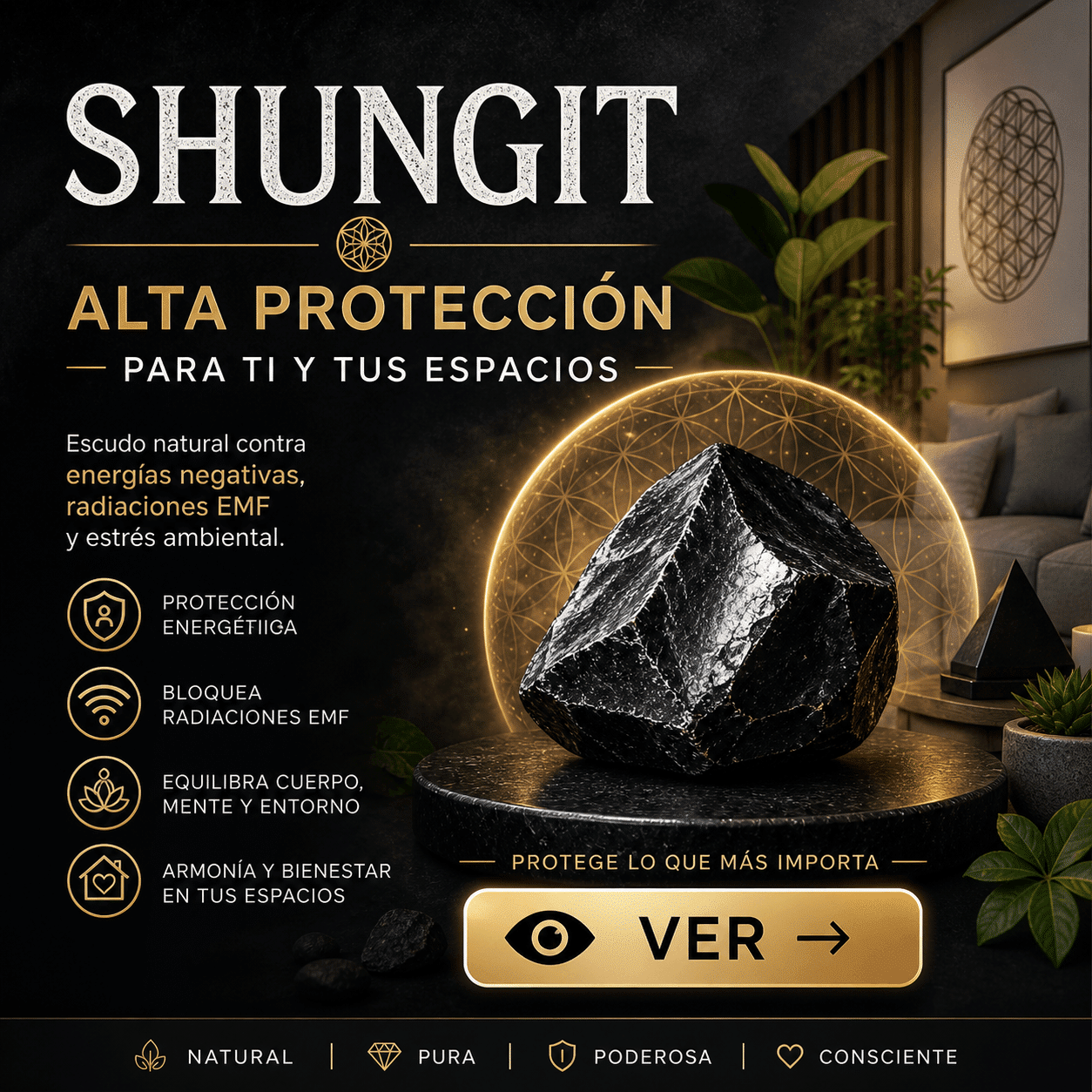 shungit home