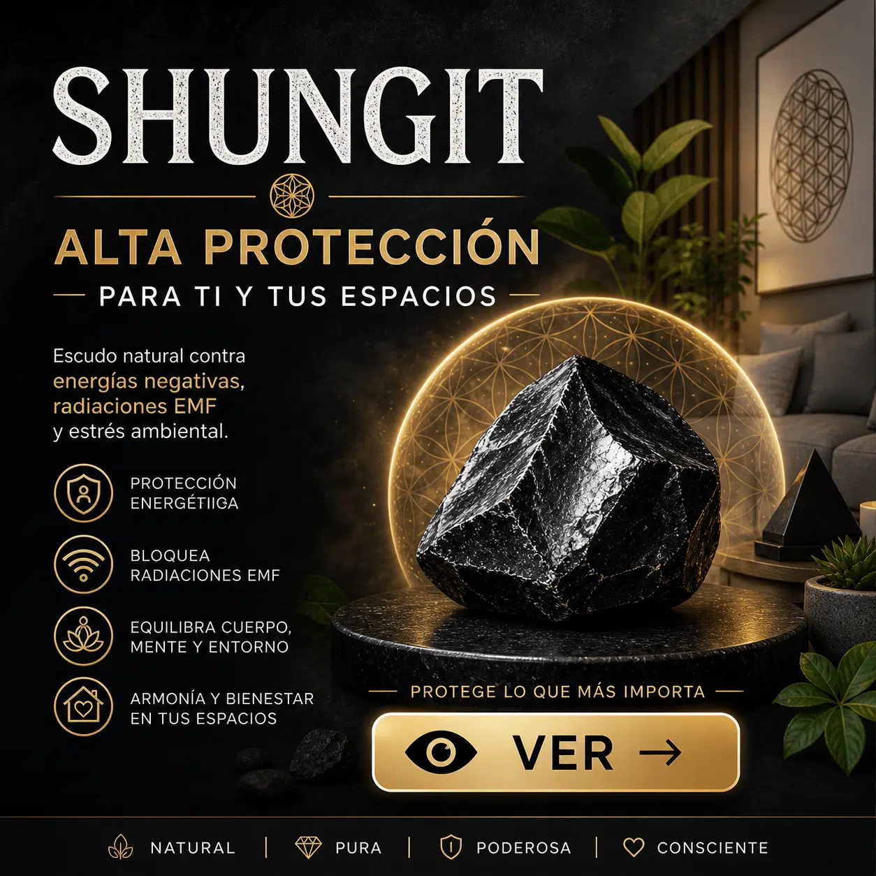 shungit home