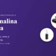 Turmalina negra en bruto, colgante de chorlo en plata y pulsera de bola de turmalina